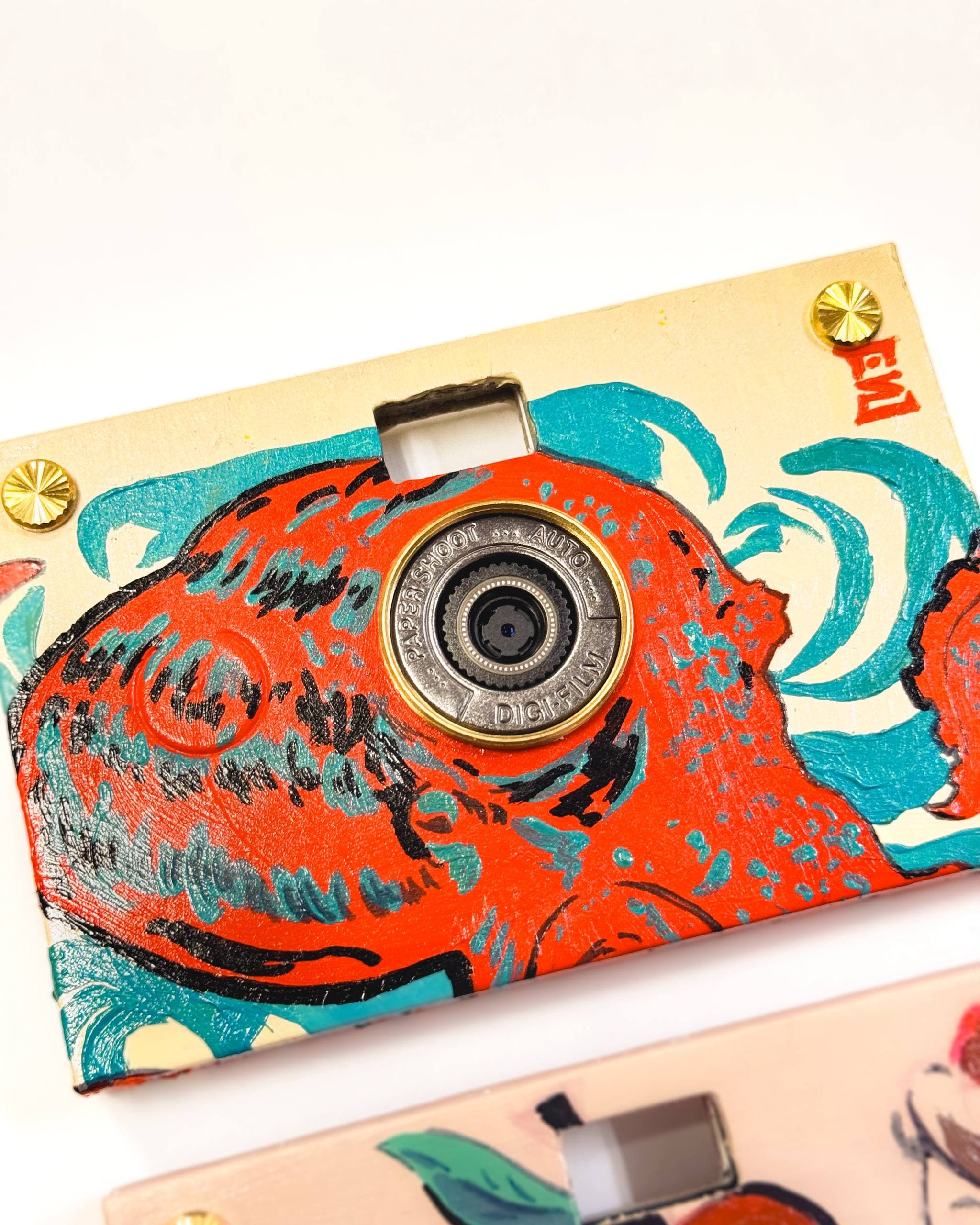 Custom Camera—Paint your own Digital Camera