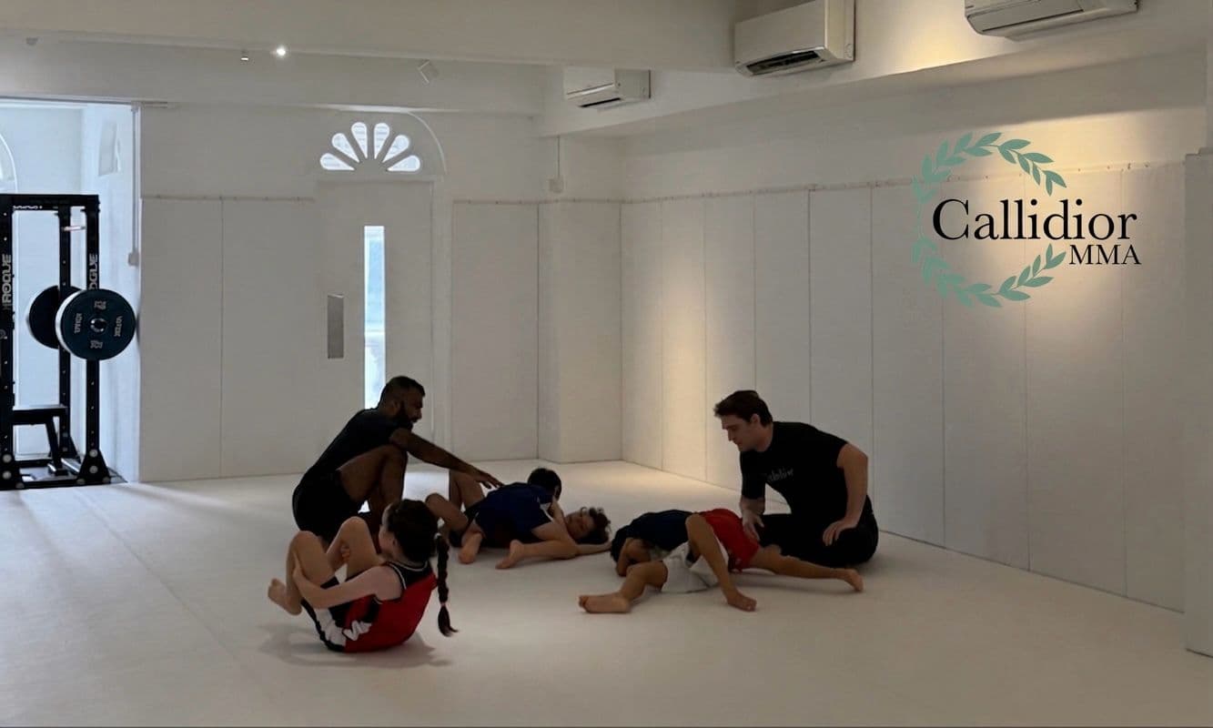 Callidior MMA cover